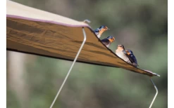 Gordigear Dachzelt Für 2 Personen Mit Staufläche 140 X 240 Cm Grün -Bester Markisen Geschäft 737312 4968290