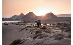 Gordigear Dachzelt Für 2 Personen Mit Staufläche 140 X 240 Cm Grün -Bester Markisen Geschäft 737321 4968308